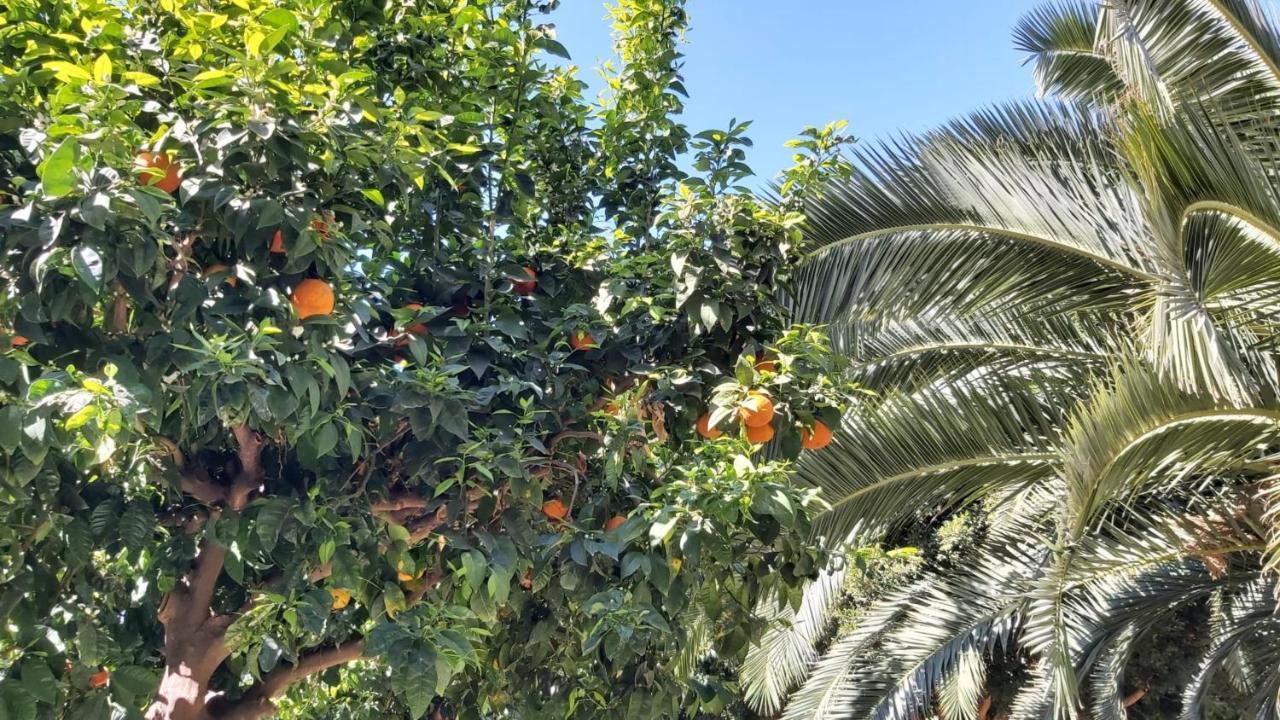 Del Parque Flats Urban Relax Διαμέρισμα Μάλαγα Εξωτερικό φωτογραφία